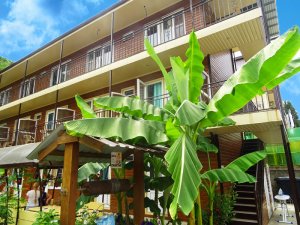 Солоники частный сектор снять жилье. Недорогой отдых в Солониках. «СВЕТЛАНА» ГОСТЕВОЙ ДОМ