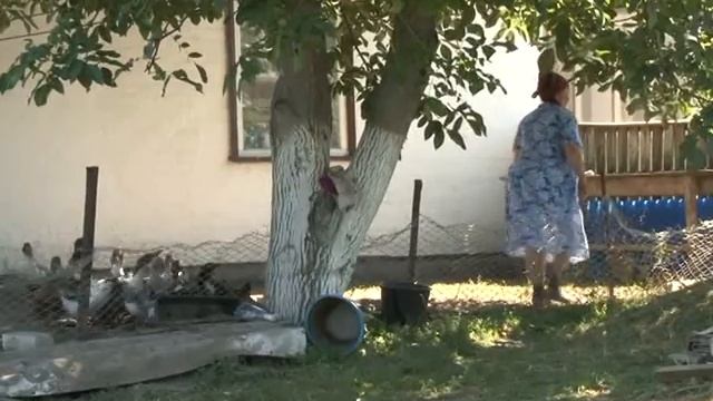 Акценти на 18 08 16 смотреть онлайн