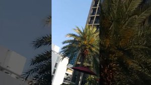 отели IBIS и Меркури океан, северная Паттайя , март 2023 год.