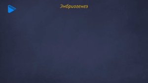 11Класс - Биология - Морфологические и эмбриологические свидетельства эволюции