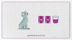 Kiedy kocięta mogą zacząć jeść karmę dla doroslych