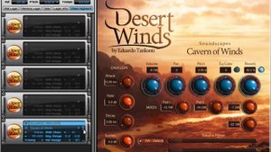 Best Service Desert Winds library review