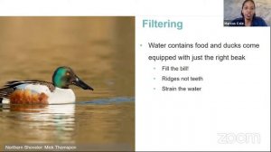 Bird Beaks with Marcus and Jake from the Trinity River Audubon Center