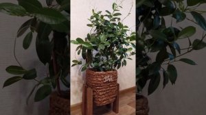 КАШПО -ПОДСТАВКА ДЛЯ ЦВЕТОВ СВОИМИ РУКАМИ.О -ПОДСТАВКА ДЛЯ ЦВЕТОВ СВОИМИ РУКАМИ.
