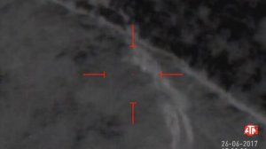 The wolf hunts roes, Волк охотился на косуль