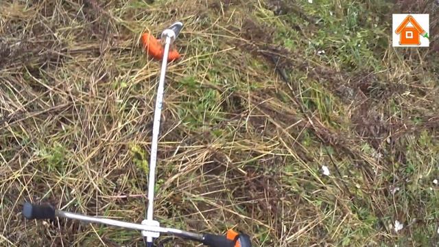 На что способен триммер Штиль FS 55. Отзывы Мотокоса Stihl FS 55.
