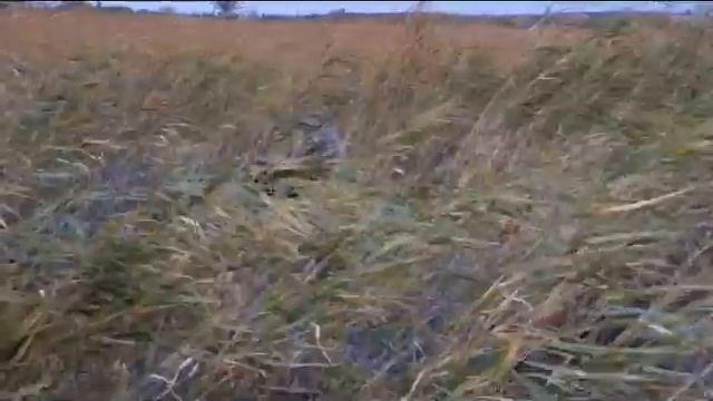 алюминиевая лодка Казбот - 27 скрадок для охоты и рыбалки смотреть онлайн