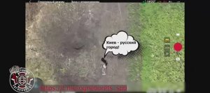 Штурм опорников  ВСУ ? под Павловкой.