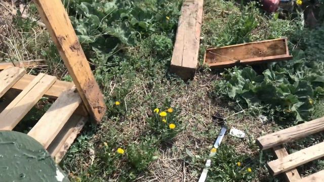 Раскрываю Секреты в Ловли Роев смотреть онлайн