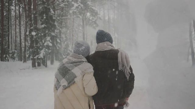 “Зимняя повесть любовных ночей” на стихи Ирины Фетисовой (Мullerson)Исполняет Алексей Брюшневский смотреть онлайн