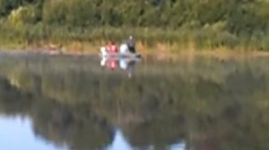 р. луга рыбалка на фидер