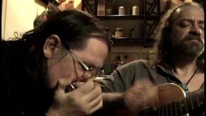 SUSIE Q - CCR - Creedence Clearwater revival - Acoustic Guitar and Harp Blues Cover