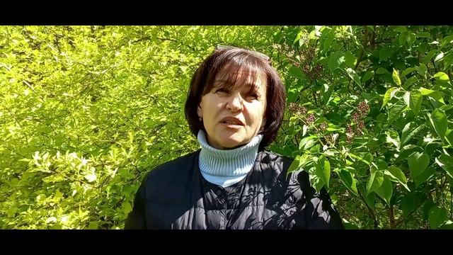 С Днём социального работника!