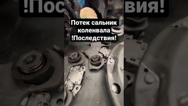 Внимательно следим за сальниками. Устраняем течи вовремя! Форд фокус 3 смотреть онлайн