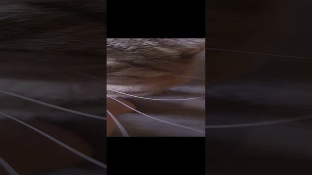 сам виноват смотреть онлайн