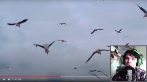 холибаам и его голяма пишката