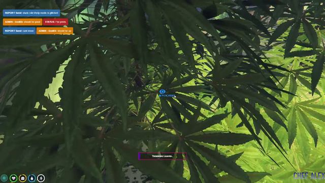 100k Mission  Gta 5 RP смотреть онлайн