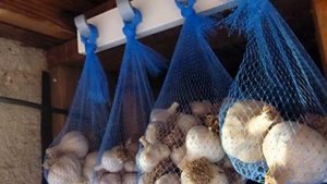 Как хранить чеснок - сохраняем чеснок правильно