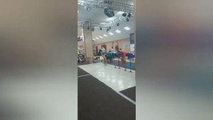 Выставка Кане-Корсо 7месяцев