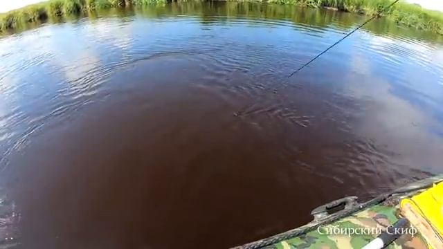 Они Чуть Не Утащили С Лодки Рыбалка На Старом Русле жесть смотреть онлайн