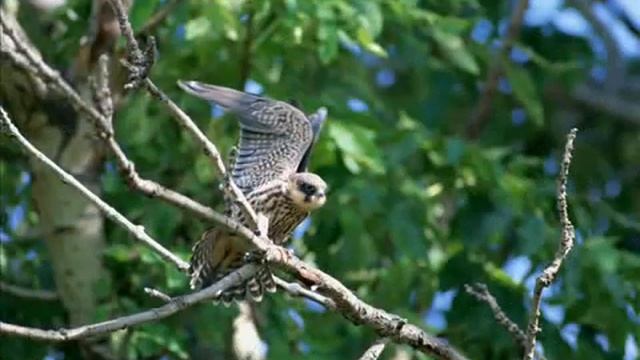 Буква У. смотреть онлайн