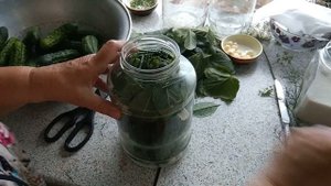 БАНКИ НЕ ВЗОРВУТСЯ! ПОСЛЕ ЭТОЙ ЗАСОЛКИ ОГУРЦОВ НА ЗИМУ