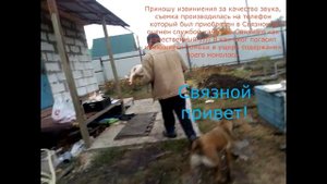 Содержание индюков. Забой. Подведение итогов.