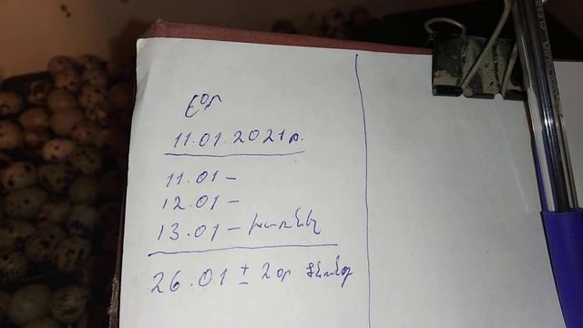 #Открытие сезон #инкубации и советы смотреть онлайн