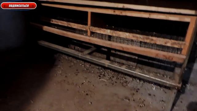 Размер клетки для перепелов