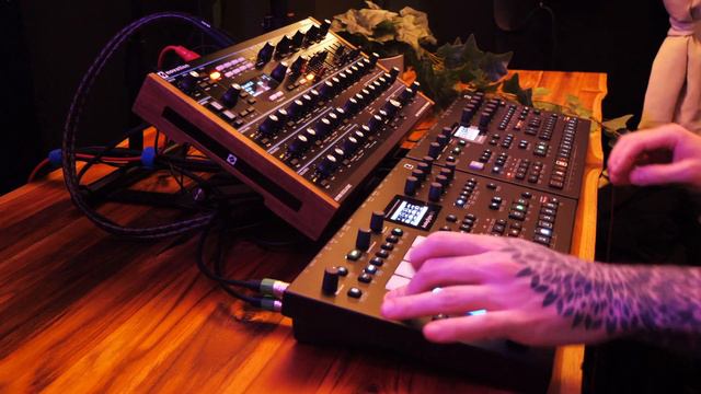 Magnetic Heart - Longing | Elektron Analog Rytm // Elektron Analog Four // Novation Peak смотреть онлайн