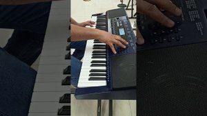 E-X30 Roland