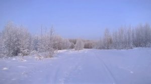 Ставим петли на зайцев и рябчиков.  Часть 2