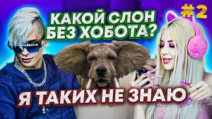 ВОПРОСЫ НА ЛОГИКУ // КТО УМНЫЙ Ч2