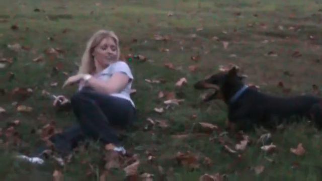 Sadie the Hyper Crazy Doberman Pinscher chasing her MAMA! смотреть онлайн