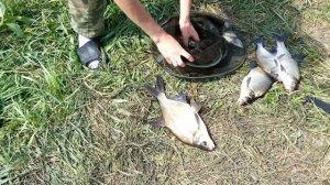 Рыбалка на р Туре 7-8 июня (наш улов) #6