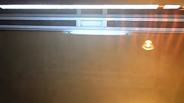 Террариум для эублефаров смотреть онлайн