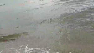 Азовское море) Пляж  в Семеновке.