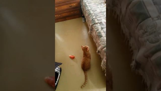 Большие друзья смотреть онлайн