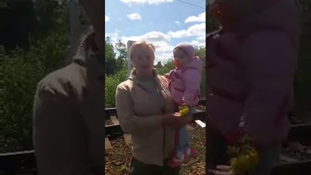 Прогулки по Всеволожску. Железная Дорога Жизни. Памятный столб 11/12.