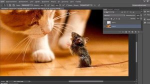 Увеличение объекта в фотошоп. Как увеличить объект в фотошоп