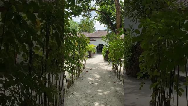 МАЛЬДИВЫ /ПУТЕШЕСТВИЯ/ОТДЫХ смотреть онлайн