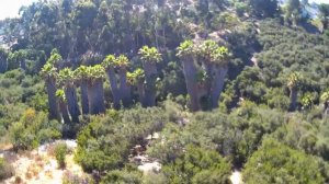 Visuo ZEN K1 Drone with 50X Zoom 4K Camera - First Flight  Review