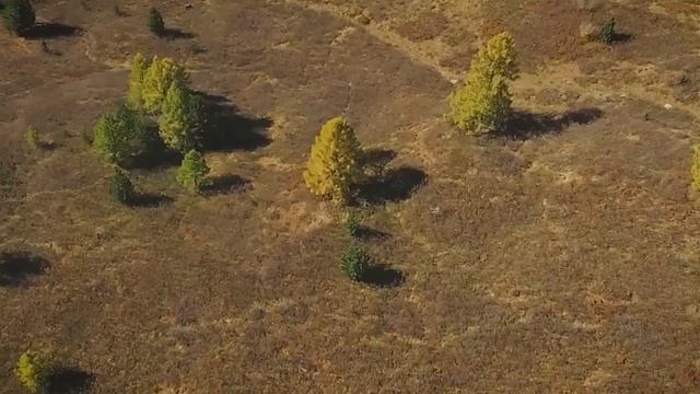 Осень на Алтае смотреть онлайн