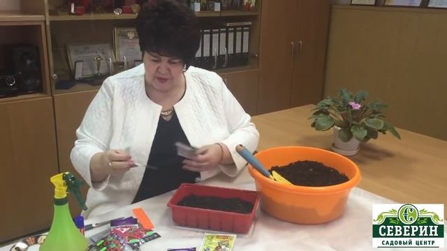 Посев ампельной петунии смотреть онлайн