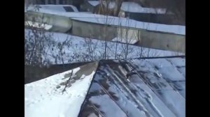 ПРИКОЛЬНАЯ Ворона катается с горки, КАК ЧЕЛОВЕК
