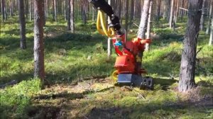 Харвестерная головка Naarva S23C