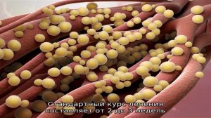 Золотистый стафилококк в носу у ребенка