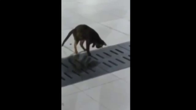 Профессионал!  