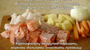 Как приготовить рыбный суп? Диетический и очень вкусный