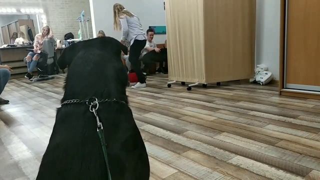 КАК СНИМАЮТ ПЕРЕДАЧУ "ВИДЕЛИ ВИДЕО"НА ПЕРВОМ КАНАЛЕ